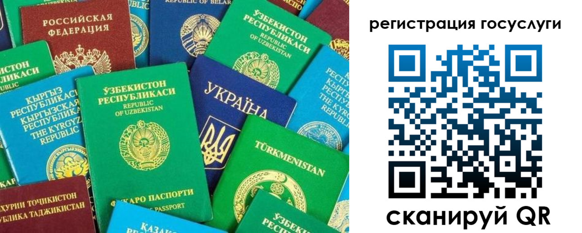 временная регистрация купить в Таре
